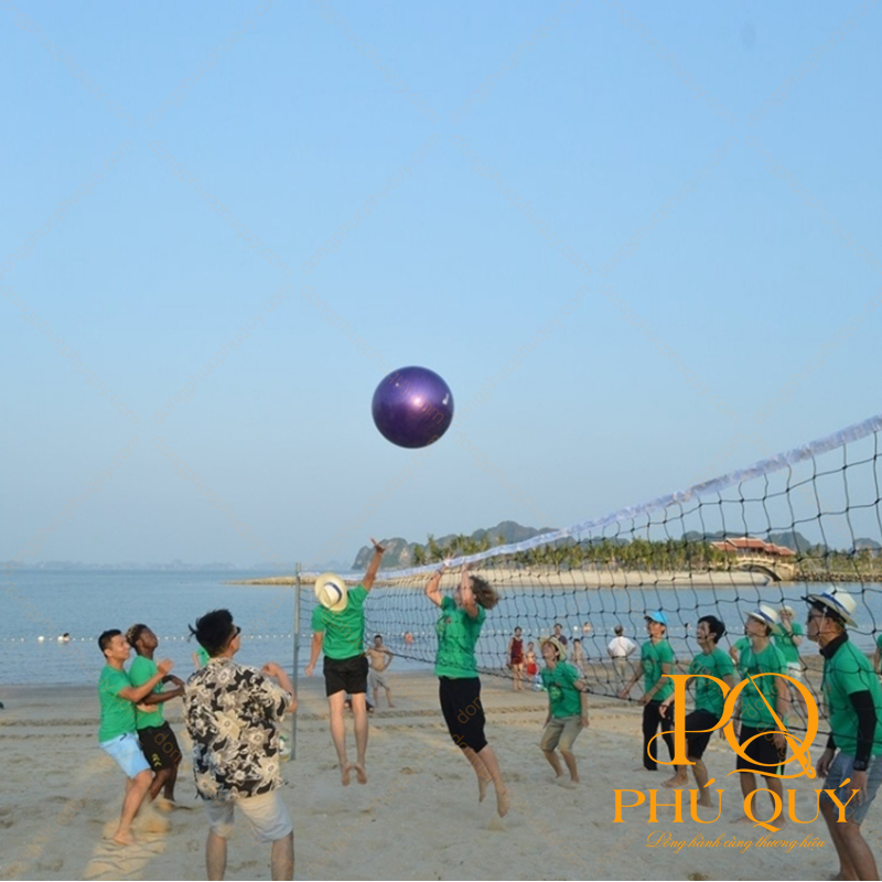 Áo thun đồng phục team building