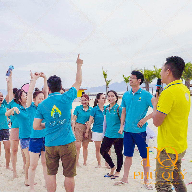 Đồng phục team building PQ16