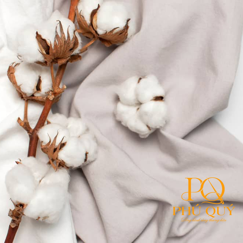 Vải cotton may quần áo đồng phục nhân viên nhà hàng ăn uống